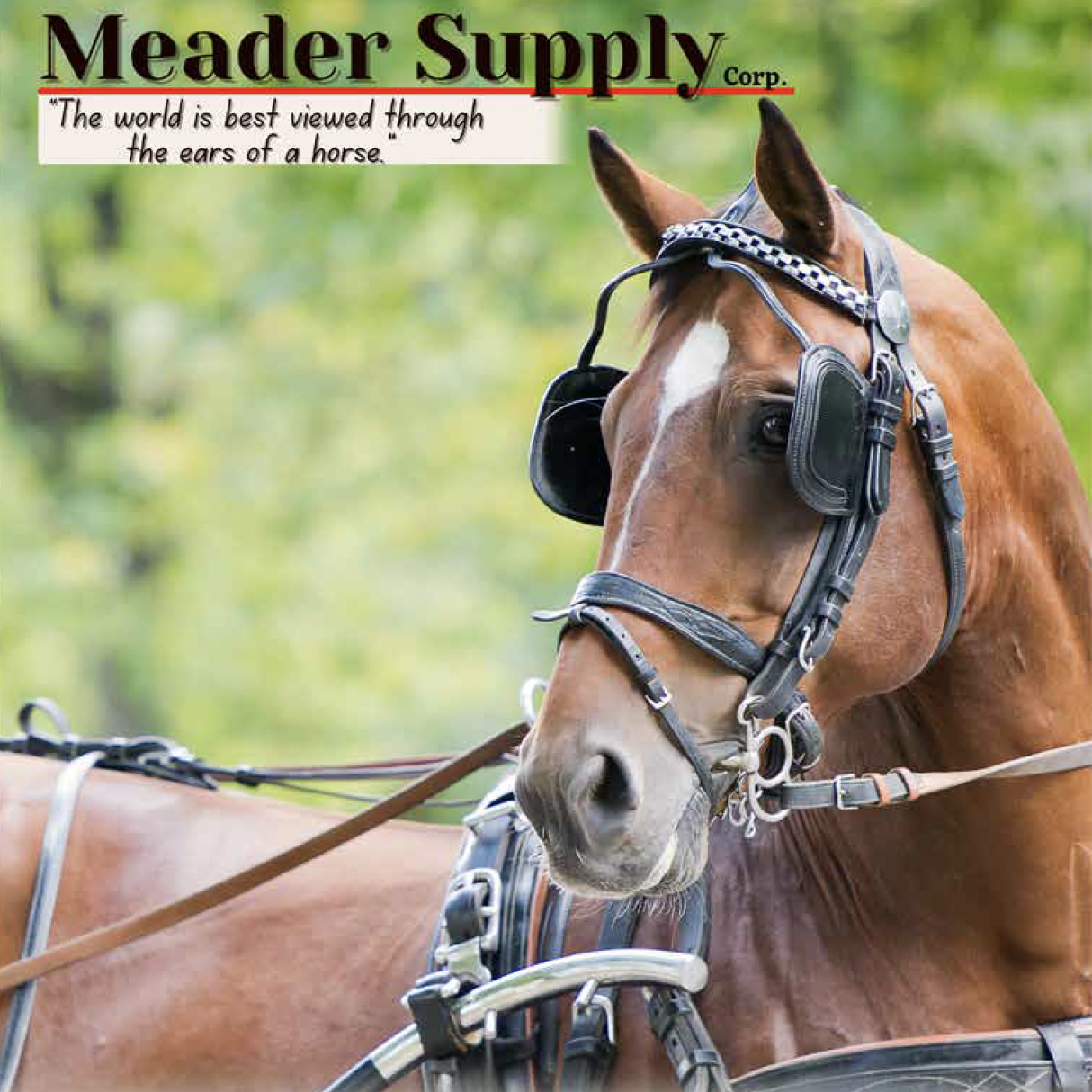Meaders Supply
