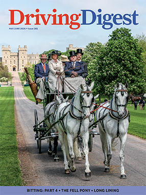 cover issue261 small